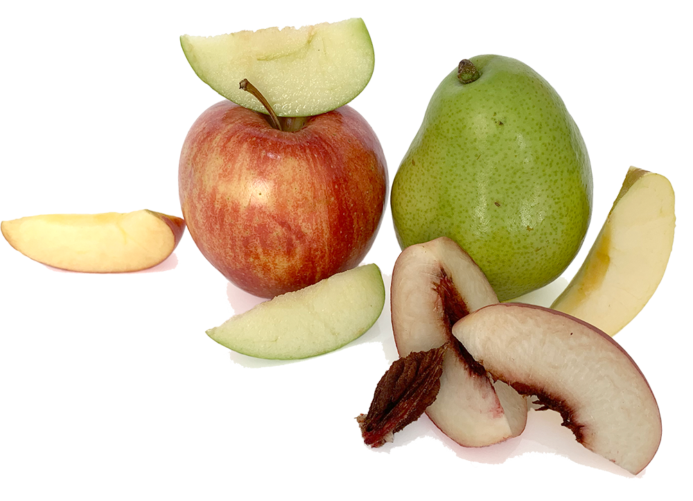 4E1