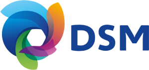 Distribuidor autorizado DSM